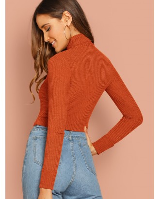 Turtle Neck Rib Knit Solid Top